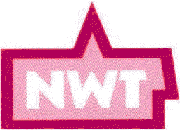 NWT Wschereitechnik GmbH - Reeperbahn 35 - 21481 Lauenburg - Germany